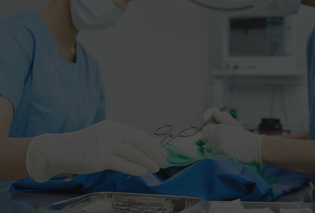 Minimal scarring after precise and delicate front canthoplasty procedure at NANA Plastic Surgery