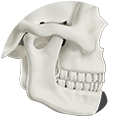 Chin implant insertion surgery illustration