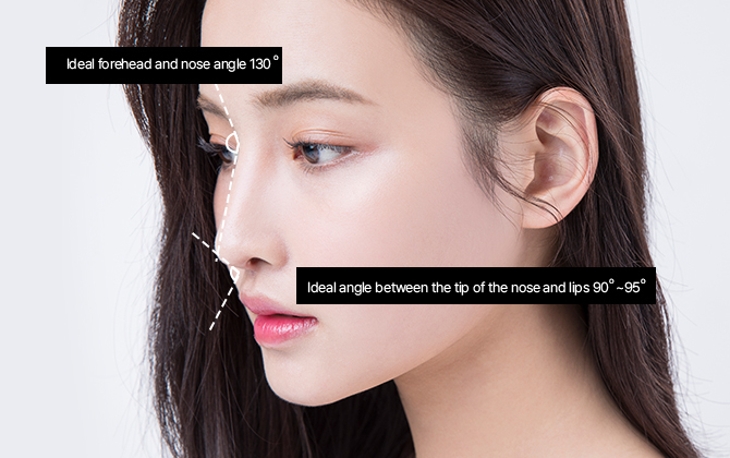 Ideal nasal profile angle diagram showing 130 degree forehead-to-nose and 90 to 95 degree nose-to-lip angle